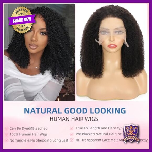 13x6 Lace Front Wig 100% Human Hair Kinky Curly 16 Inch Preplucked